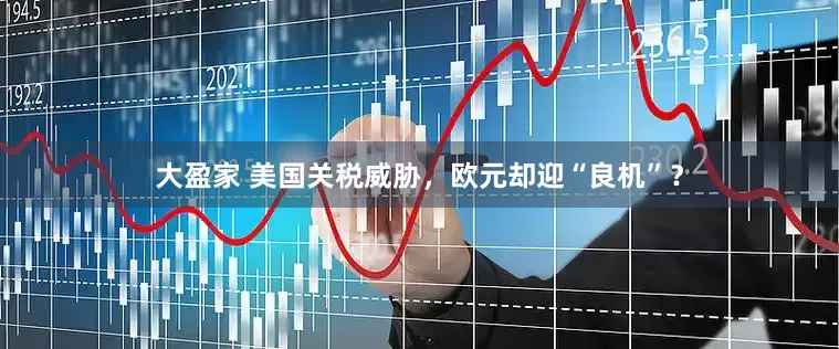 大盈家 美国关税威胁，欧元却迎“良机”？